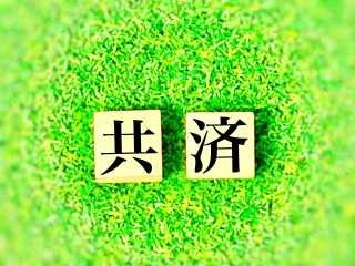 COBOLの建物更新共済システムで共済業界を支える業務体験_サムネイル